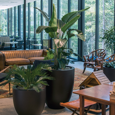 Pittsburgh Botanic Garden opens new welcome center